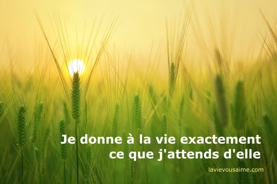 pensee positive - affirmation positive - Niko lille - la vie vous aime